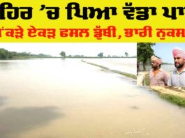 Punjab Canal Break News