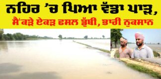 Punjab Canal Break News