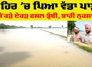 Punjab Canal Break News