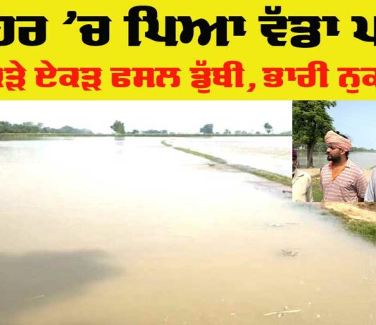 Punjab Canal Break News