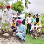 Tree Plantation Awareness