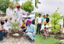 Tree Plantation Awareness