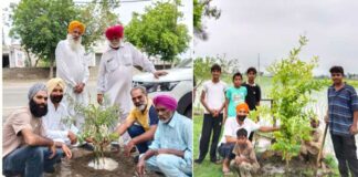 Tree Plantation Awareness