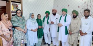Agricultural Land Punjab