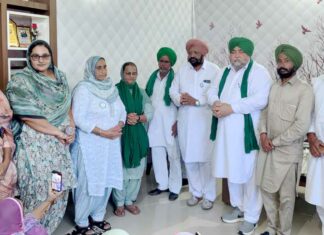 Agricultural Land Punjab