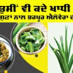 Aloe Vera Vegetable