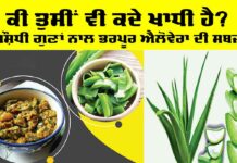Aloe Vera Vegetable