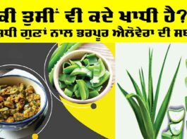 Aloe Vera Vegetable