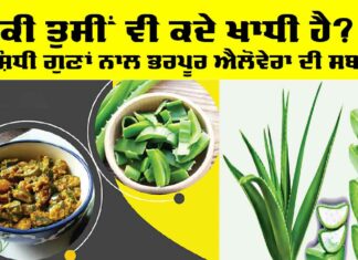Aloe Vera Vegetable