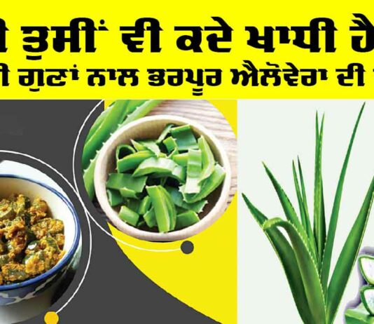 Aloe Vera Vegetable