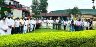 Amloh News