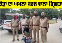 Bank Fraud Arrest News