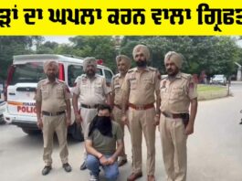 Bank Fraud Arrest News