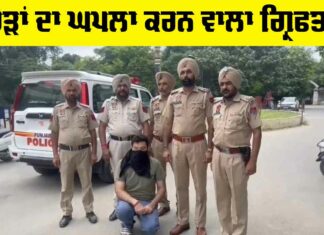 Bank Fraud Arrest News