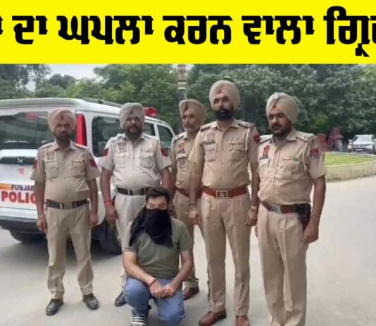 Bank Fraud Arrest News