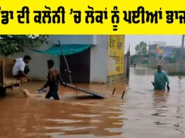 Bathinda News