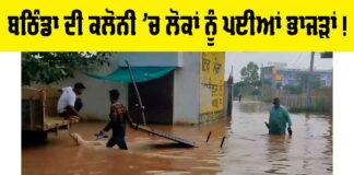 Bathinda News