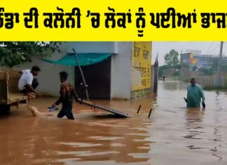Bathinda News
