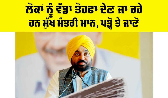 Bhagwant Mann News