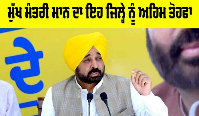 Bhagwant Mann News