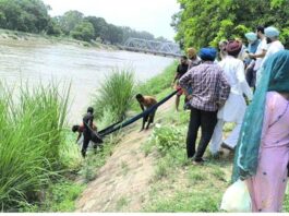 Canal Accident