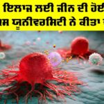 Cancer Treatment News