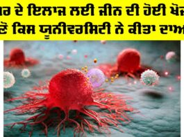 Cancer Treatment News