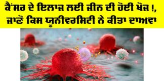 Cancer Treatment News