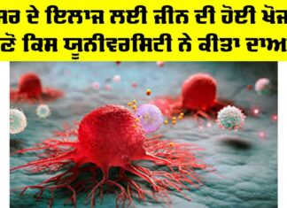 Cancer Treatment News