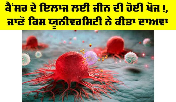 Cancer Treatment News