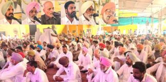 Chamkdeep Singh Insan Tribute