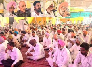 Chamkdeep Singh Insan Tribute
