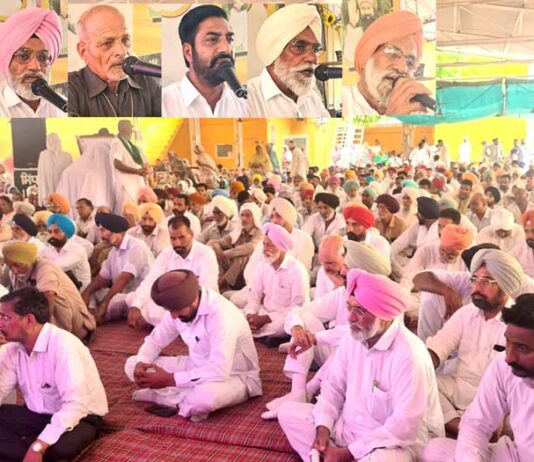 Chamkdeep Singh Insan Tribute