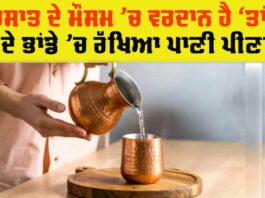 Copper Water Benefits