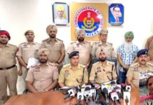 Woman Murder Case