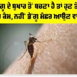 Dengue Fever Symptoms