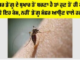 Dengue Fever Symptoms