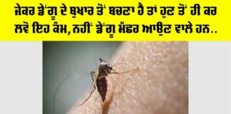 Dengue Fever Symptoms