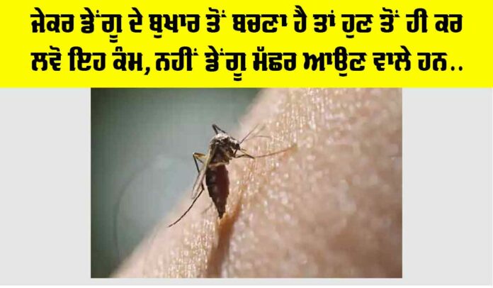 Dengue Fever Symptoms