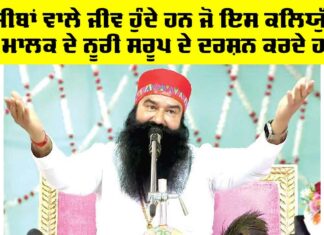 Dera Sacha Sauda
