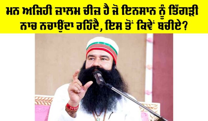 Dera Sacha Sauda