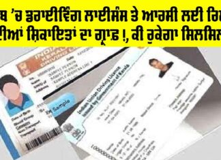 Driving Licence Punjab