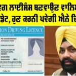Driving Licenses
