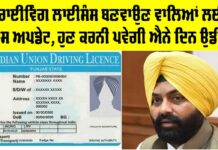 Driving Licenses