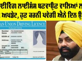 Driving Licenses