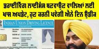 Driving Licenses