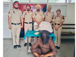Drug Capsule Seizure