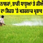 Effects of Pesticides on Health