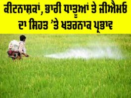 Effects of Pesticides on Health