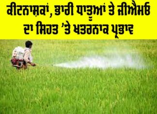 Effects of Pesticides on Health